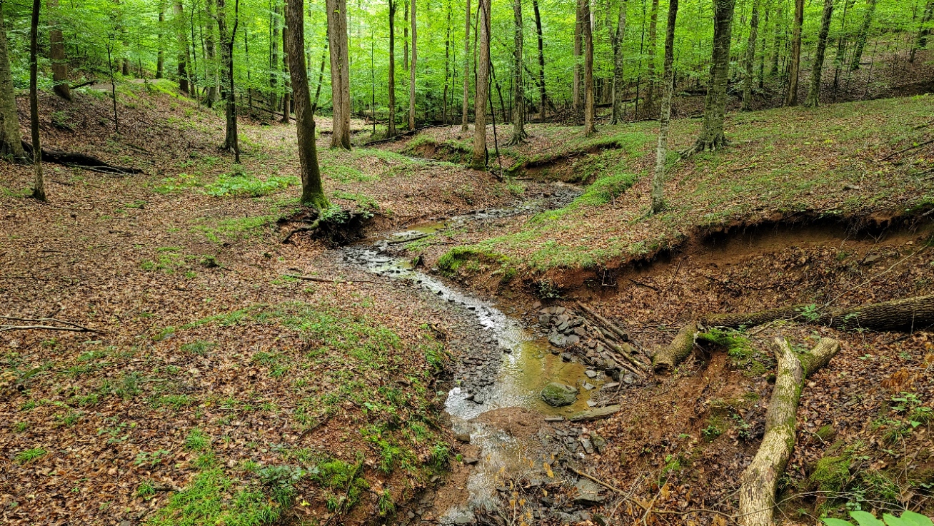 The Ravine Loop Trail at Little Mulberry Park