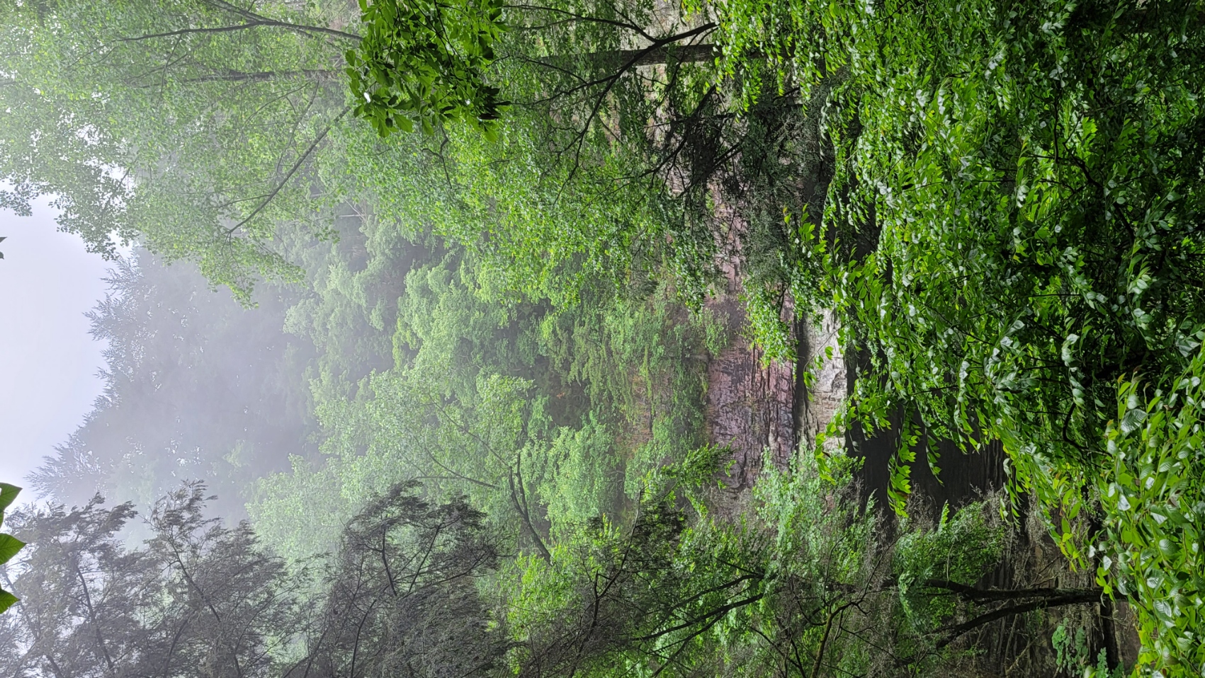 Hiking down to the Falls - Monteagle, TN